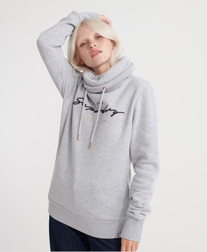 Superdry Applique Funnel Női Kapucnis Pulóver Szürke | DPBWI7381